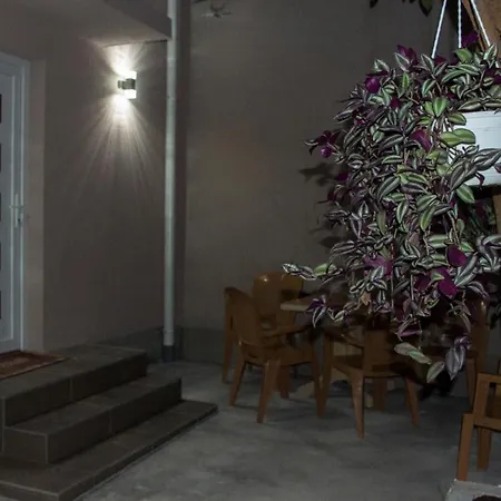 Ozapartments