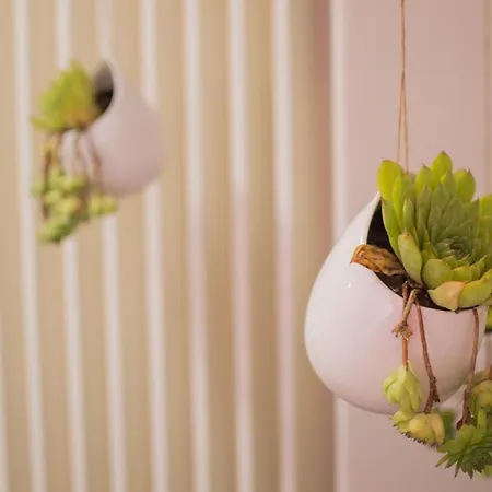 דירה Ozapartments מוסטר